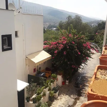 Hotel House Near Marina, Yachts, Boats. 4,5 Br
