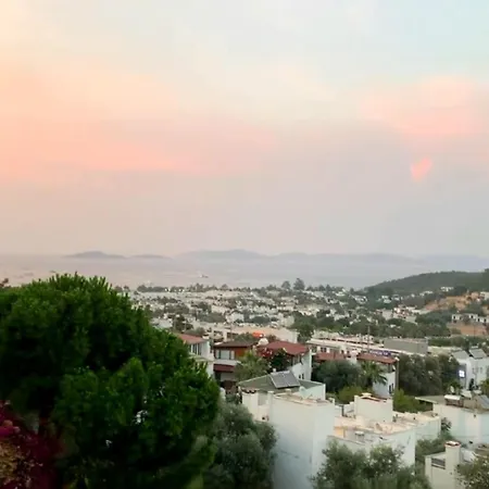 Hotel House Near Marina, Yachts, Boats. 4,5 Br Torba